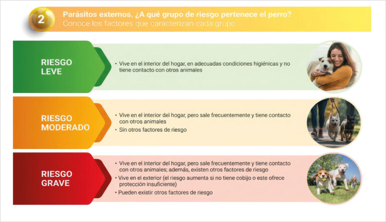 Extracto del Protocolo ESCCAP actualizado de desparasitación canina. 