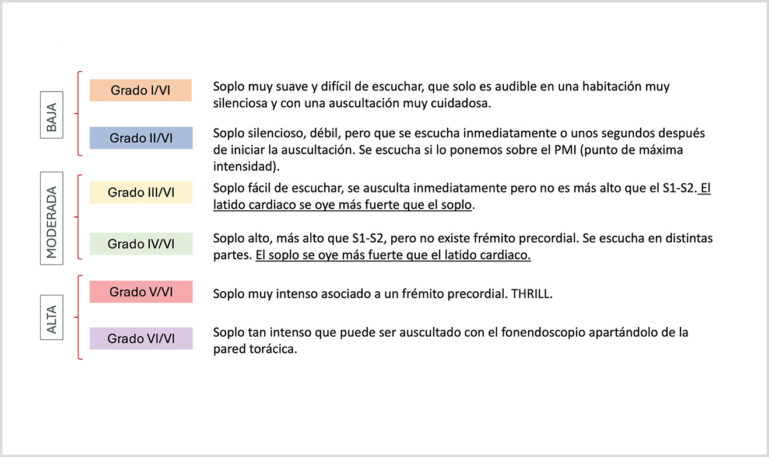 Gráfico con la clasificación del soplo según el sistema de Levine modificado.