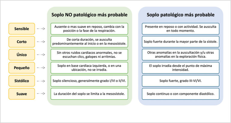 Criterios para ayudar a diferenciar los soplos no patológicos de los patológicos en gatos.