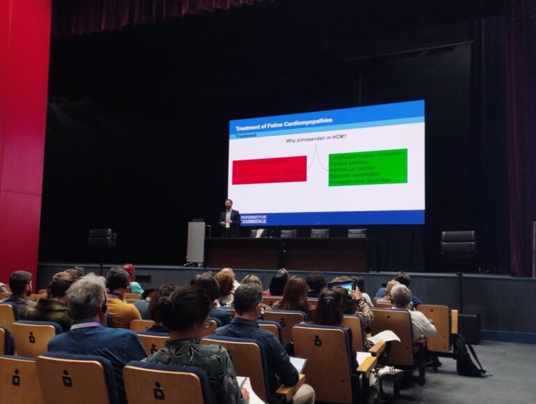 . El sistema cardiorrespiratorio protagonizó Vetmadrid 2026, con cuatro salas de ponencias simultáneas.