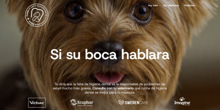 Virbac, Ecuphar, Swedencare e Imagine Animal Health se unen en una iniciativa sin precedentes por la salud bucodental en pequeños animales.
