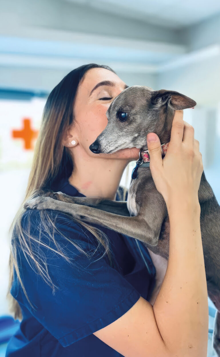 Veterinaria abrazando a un perro en un consultorio veterinario
