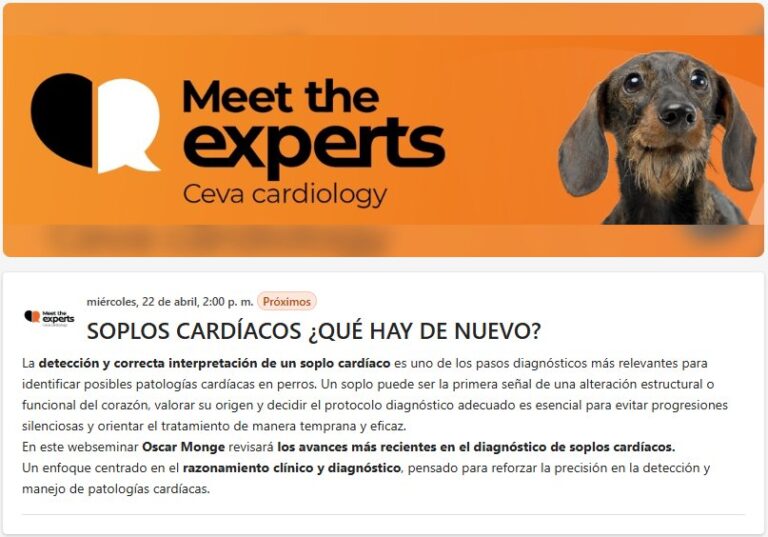Webinar sobre soplos cardíacos organizado por Ceva Salud Animal con Oscar Monge