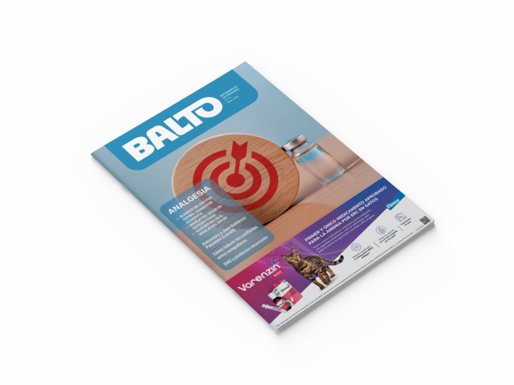 La analgesia es el tema de portada de Balto 13 (mayo de 2026).
