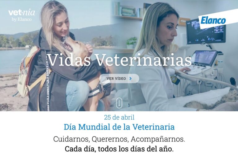 Imagen de la Web de la campaña Vidas Veterinarias de Elanco