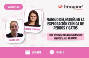 Webinar sobre manejo del estrés en perros y gatos durante exploración clínica