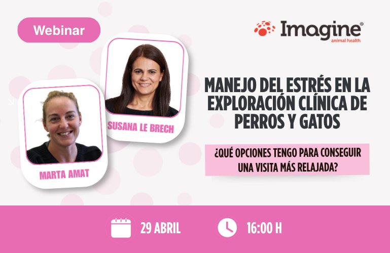 Webinar sobre manejo del estrés en perros y gatos durante exploración clínica