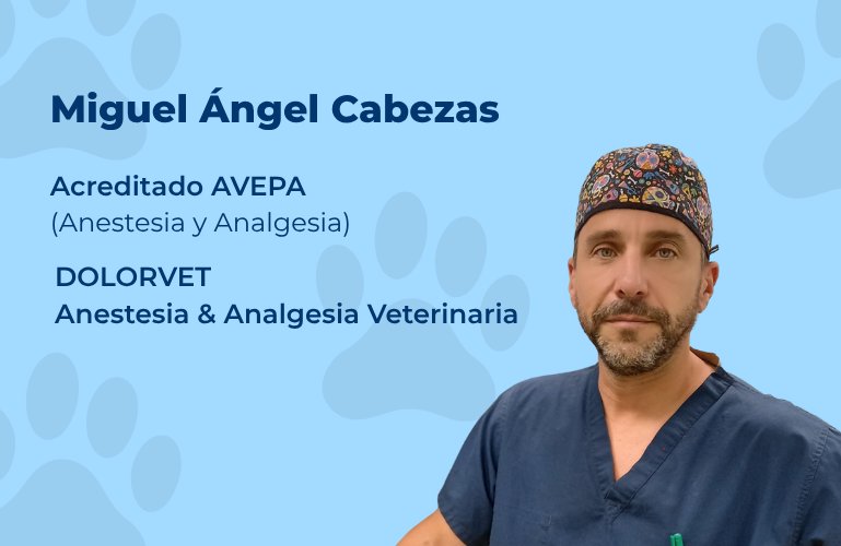 Miguel Ángel Cabezas en un webinar sobre sedación canina