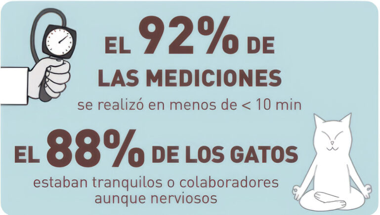Datos sobre mediciones de hipertensión felina en gatos tratados con amodip