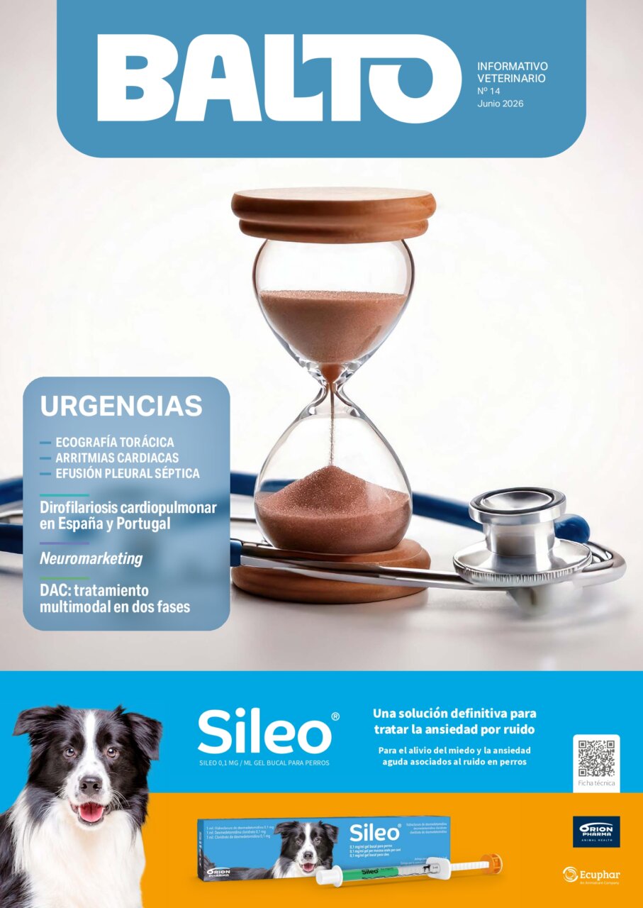 Balto 14 – junio 2026