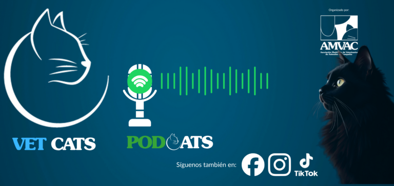 Banner del podcast Vet Cats con un micrófono y un gato negro