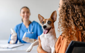 Mujer sosteniendo un perro en una consulta veterinaria