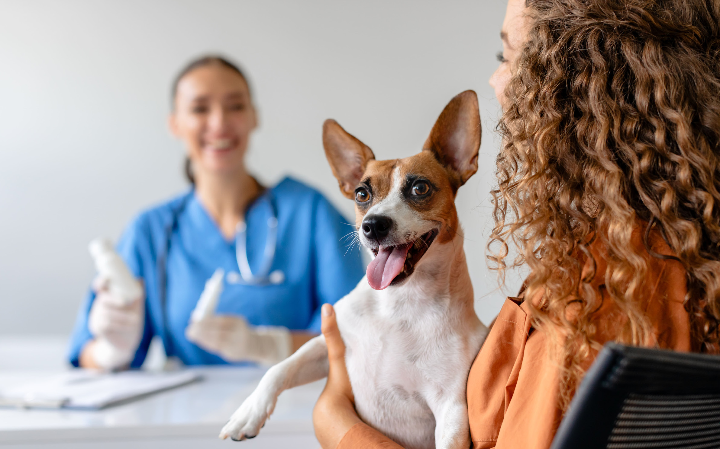 Mujer sosteniendo un perro en una consulta veterinaria
