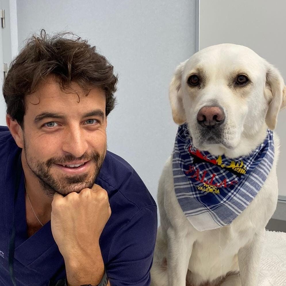 Álvaro Berenguel Fernández. Veterinario.
