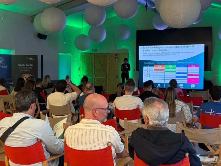 Asistentes al roadshow de Numelvi