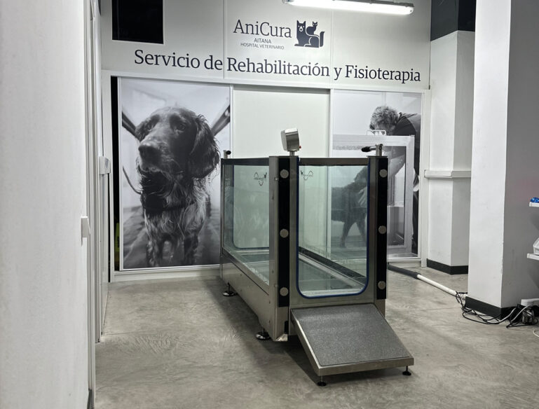 Cinta subacuática para rehabilitación de perros.