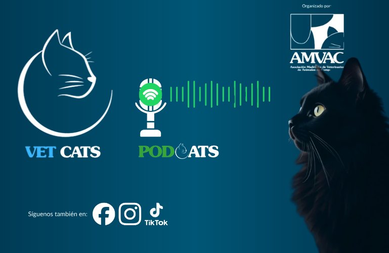 Nuevo podcast 