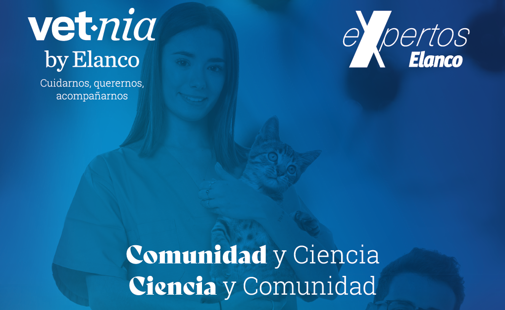 Anuncio de Vetnia con veterinarios y animales en un entorno profesional.