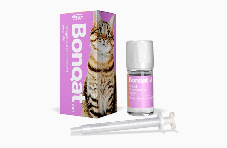 Envase y jeringa de Bonqat solución oral para gatos