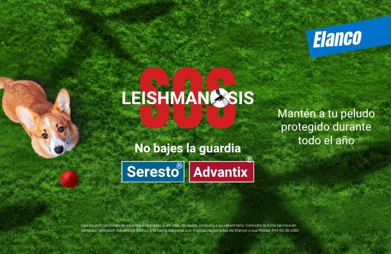 Imagen de la campaña SOS leishmaniosis de Elanco