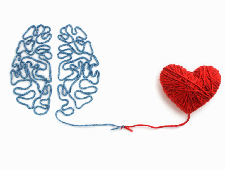 Representación de un cerebro y un corazón de hilo representando la conexión entre emociones y decisiones cerebrales