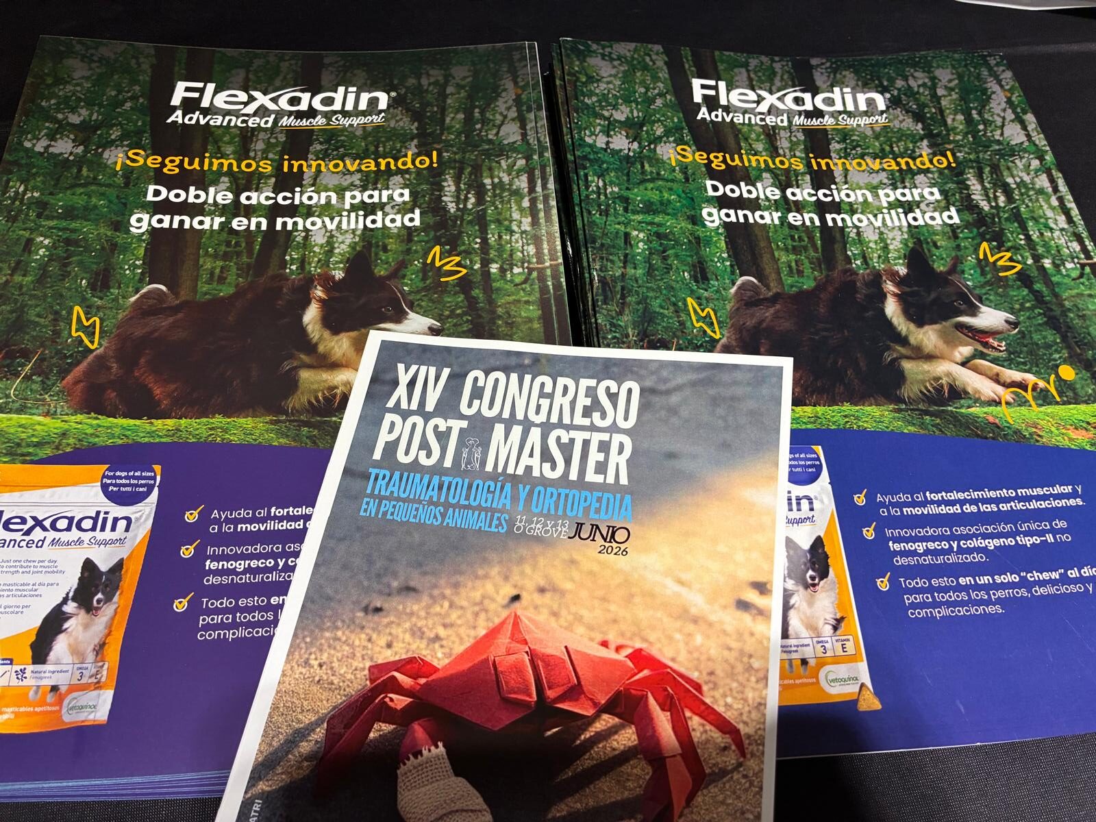 Vetoquinol participa en el XIV Congreso Post-Master de Traumatología y Ortopedia de Pequeños Animales