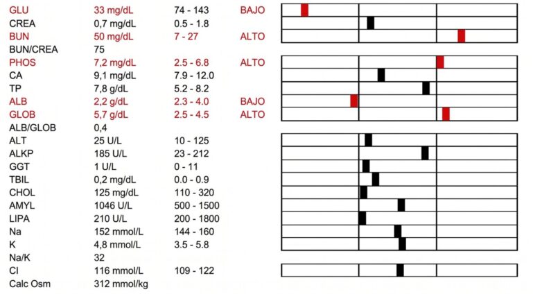 Perfil bioquímico de un perro con signos característicos: hipoglucemia, hiperglobulinemia e hipoalbuminemia.