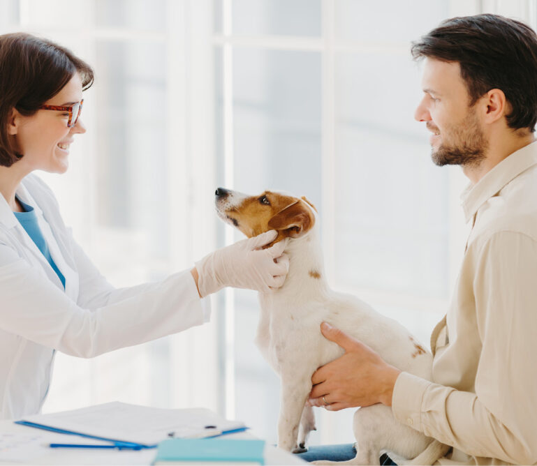 Veterinaria atendiendo a un perro en consulta con su tutor
