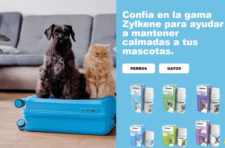 web de zylkene con soluciones para tutores de perros y gatos