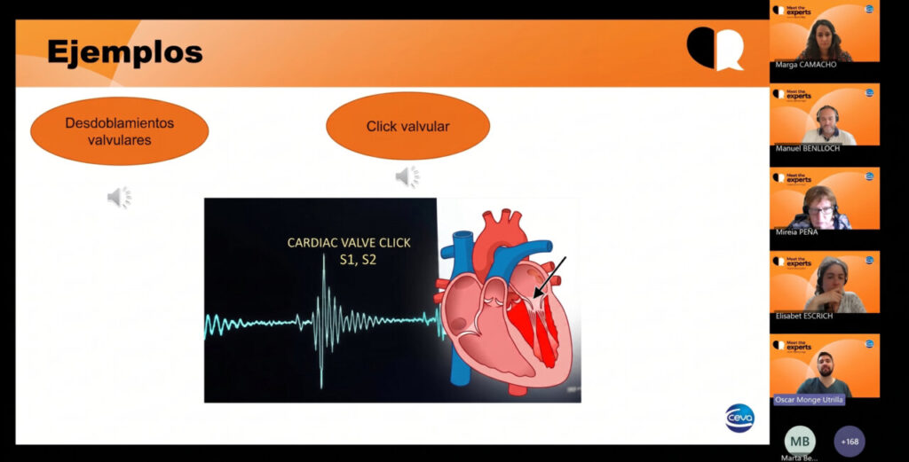 Presentación sobre cardiología veterinaria con gráficos y especialistas