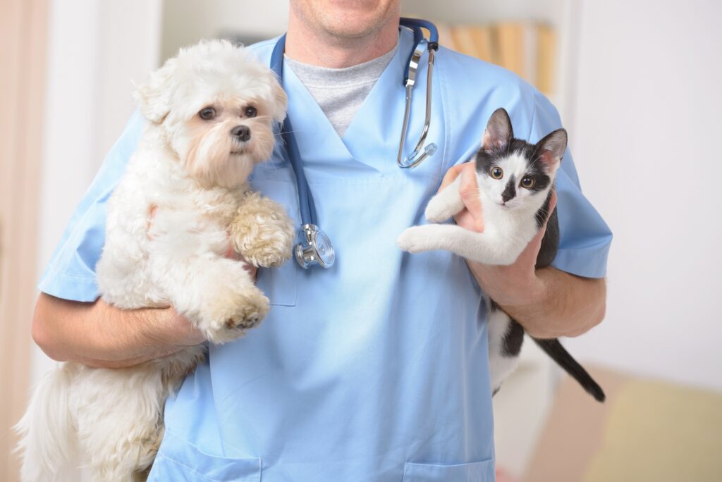 Veterinario sosteniendo un perro y un gato en brazos