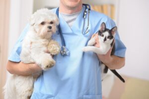 Veterinario sosteniendo un perro y un gato en brazos