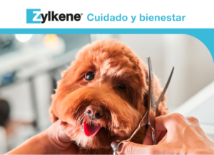 El toolkit de Zylkene apoya a los veterinarios con el servicio de peluquería