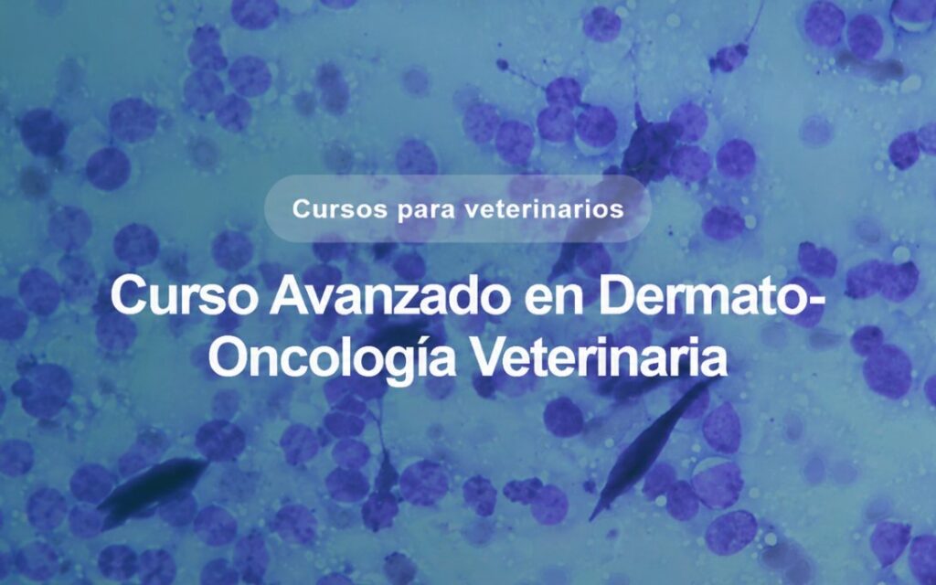 Curso avanzado en dermato-oncología veterinaria ofrecido por la UAB.