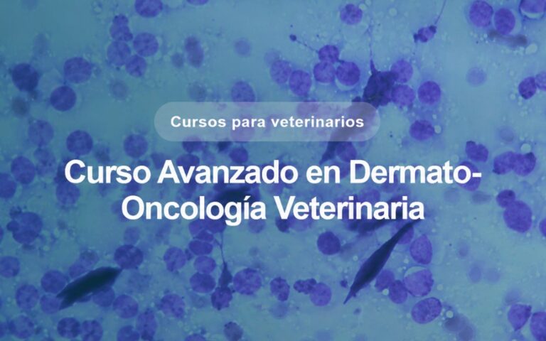 Curso avanzado en dermato-oncología veterinaria ofrecido por la UAB.