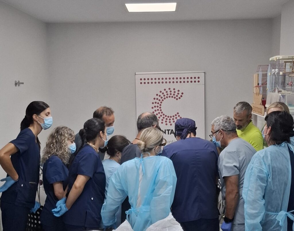 Colaboración Vetpartners y Centauro para mejorar la atención odontológica en las clínicas veterinarias