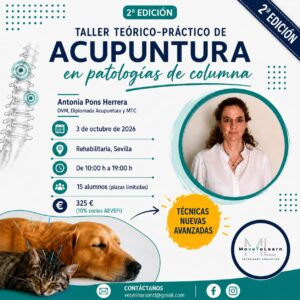 Cartel del taller de acupuntura en Sevilla con detalles del evento