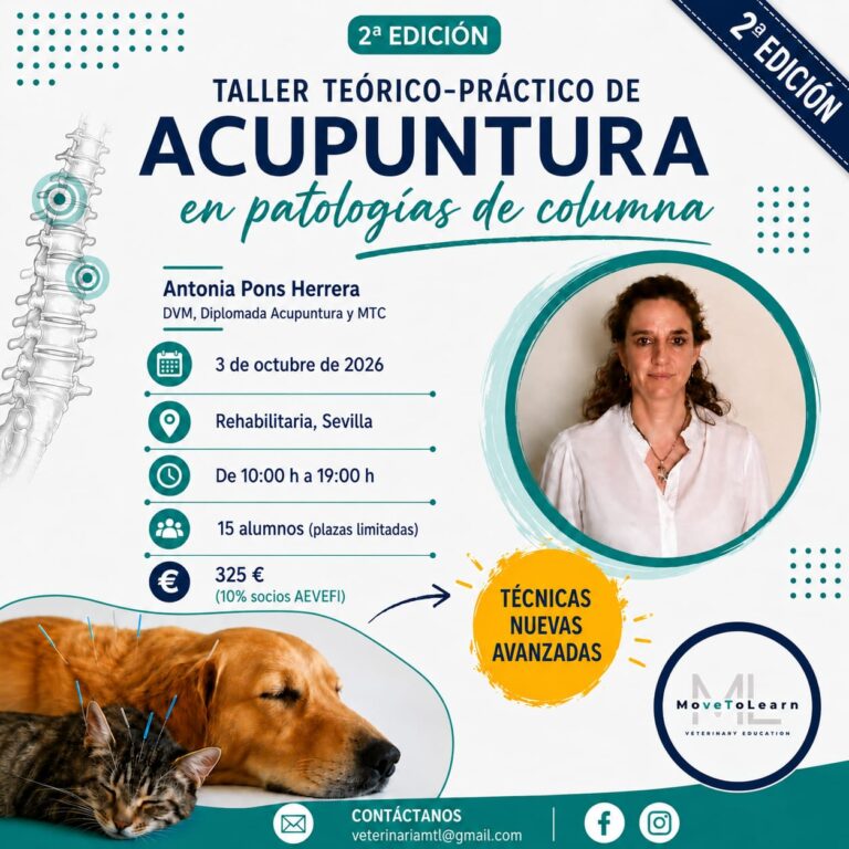 Cartel del taller de acupuntura en Sevilla con detalles del evento