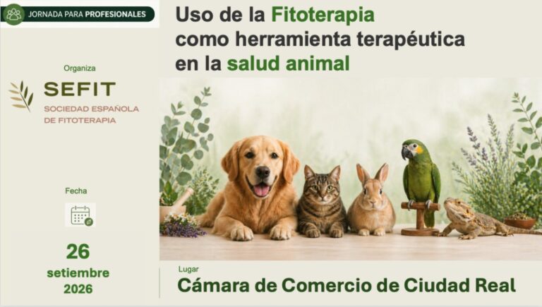 Animales como perros, gatos y aves en un entorno natural
