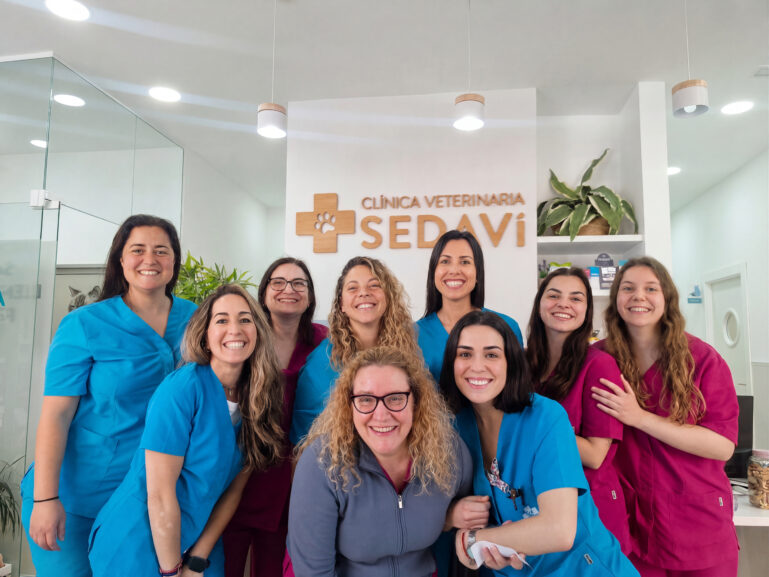 Equipo de la clínica veterinaria Sedaví sonriendo en grupo