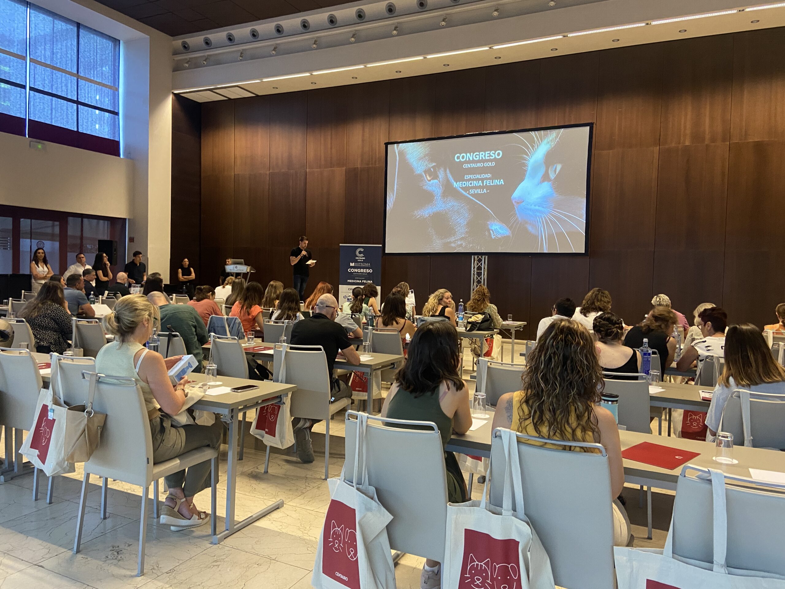 Asistentes en un congreso sobre medicina felina en Sevilla