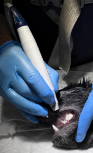 La tecnología piezoeléctrica en cirugía oral permite un corte óseo selectivo y ultrapreciso salvaguardando los tejidos blandos adyacentes.