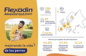 Flexadin Advanced Muscle Support mejora la movilidad y calidad de vida de los perros.