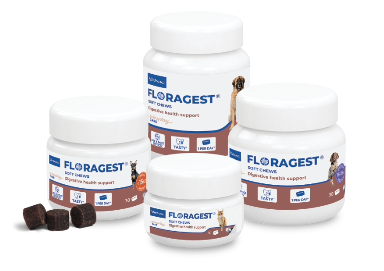 Envases de Floragest, suplemento digestivo para perros y gatos de Virbac.