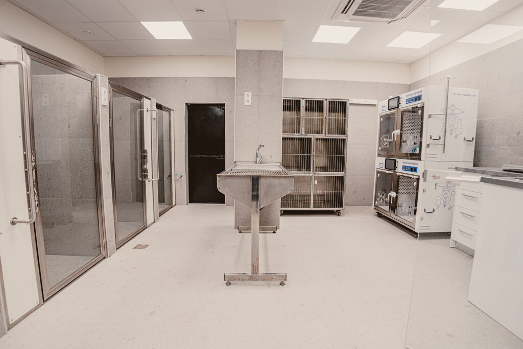 Interior de un hospital veterinario con jaulas y mesa de trabajo