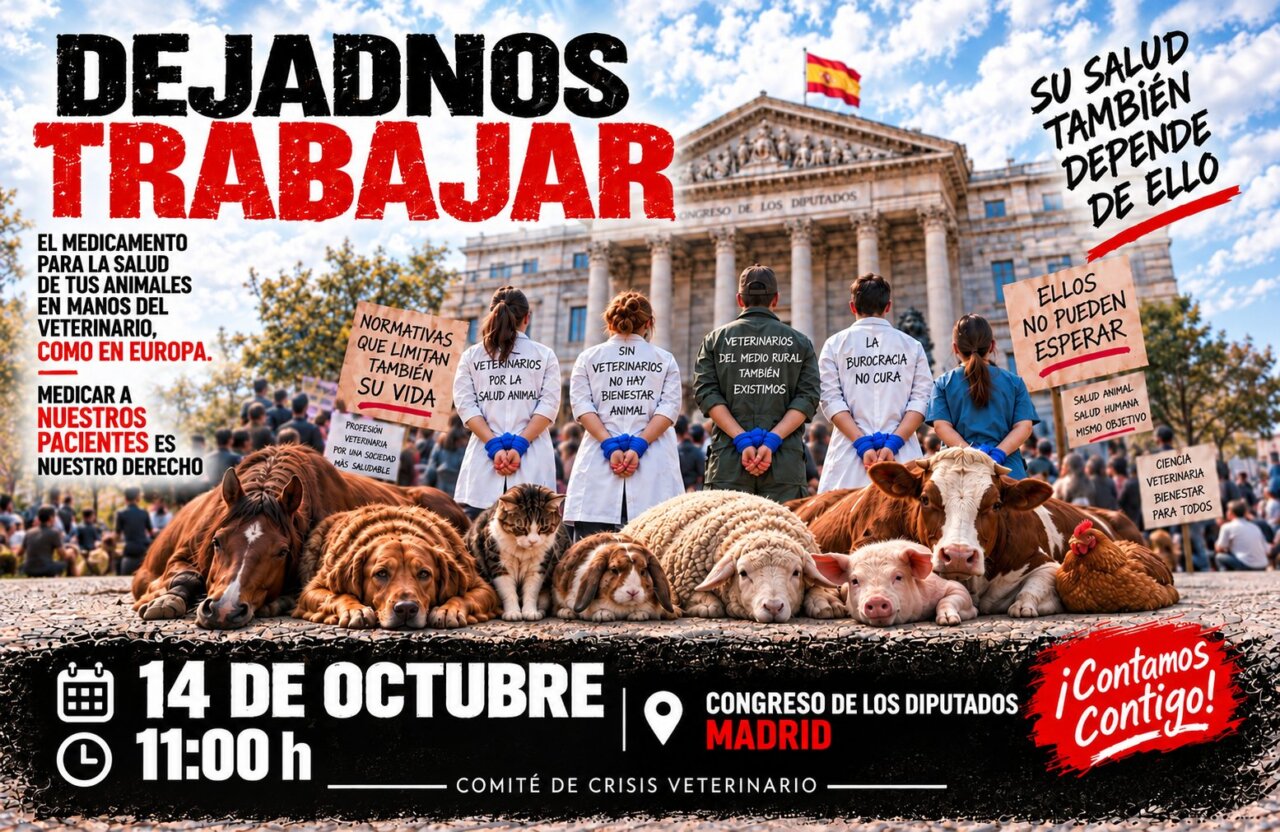 Veterinarios protestarán ante el Congreso en Madrid