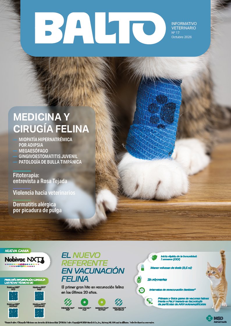 Balto 17 – octubre 2026