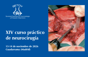XIV Curso Práctico de NEUROCIRUGÍA
