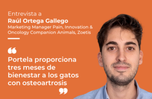 Raúl Ortega Gallego presenta Portela, el nuevo tratamiento para aliviar el dolor en gatos con osteoartrosis