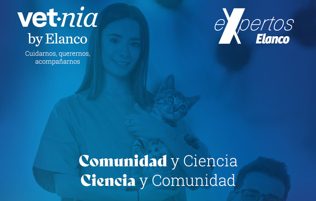 Gráfico promocional de Vetnia con dos personas, un gato y un perro.